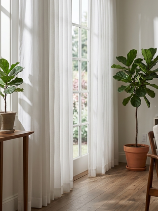 Cirra Classic Sheer Curtains