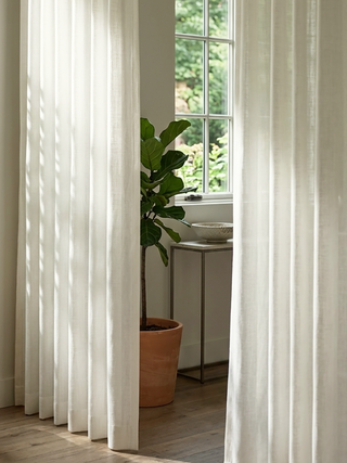 Faylen Classic Sheer Curtains