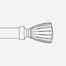 Scallop