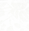 White 6005-2
